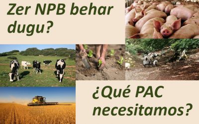 ¿Qué PAC necesitamos? / Zer NPB behar dugu?