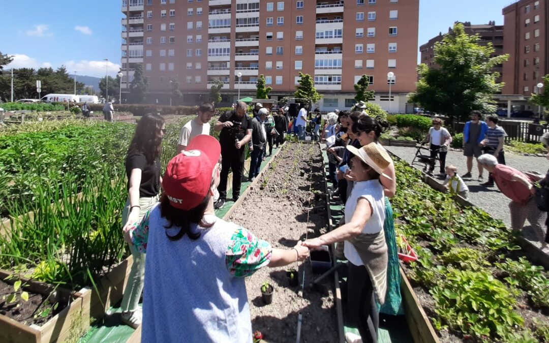 Landaketa eta jolasak berezko hazien alde / Plantación y juegos por las semillas campesinas