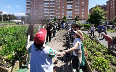 Landaketa eta jolasak berezko hazien alde / Plantación y juegos por las semillas campesinas